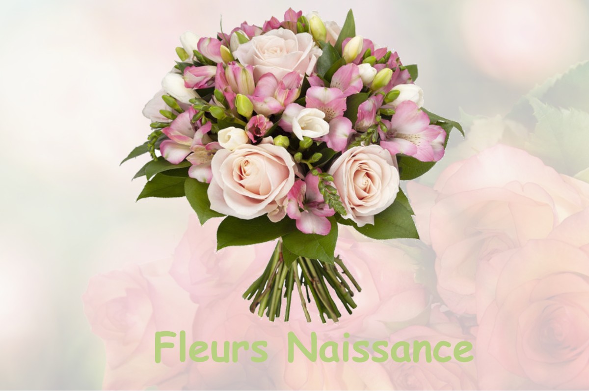 fleurs naissance NEEWILLER-PRES-LAUTERBOURG