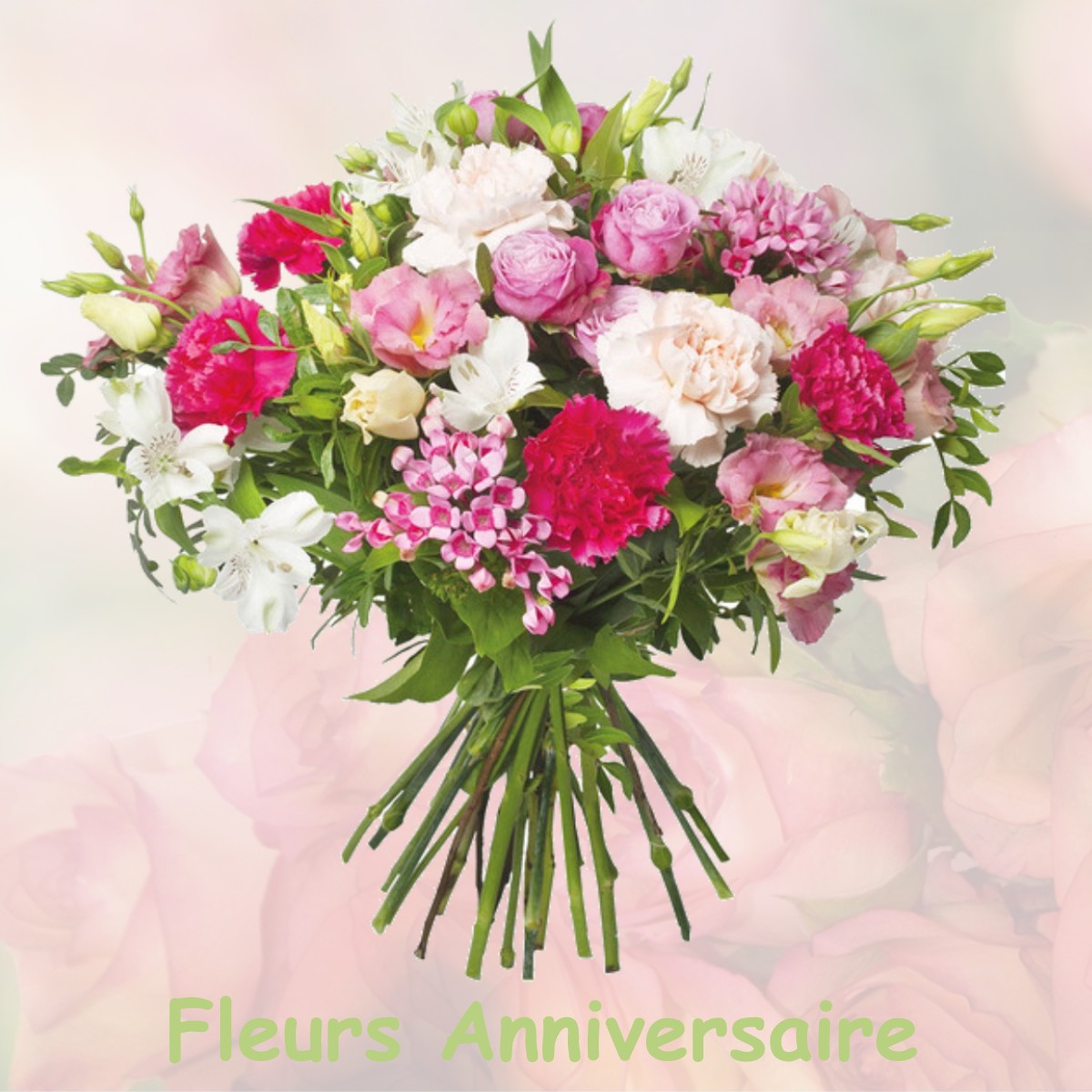 fleurs anniversaire NEEWILLER-PRES-LAUTERBOURG